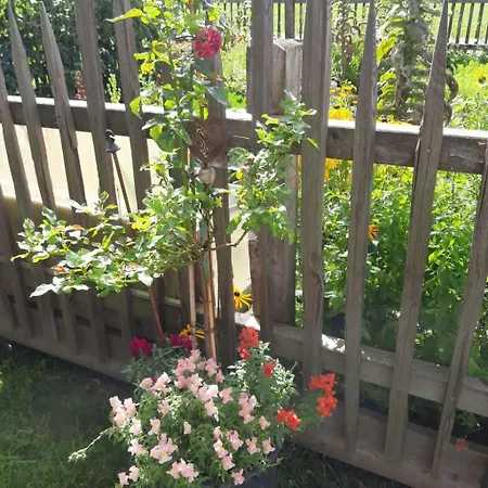 شقة Althaus 1 By Interhome Neukirchen am Großvenediger