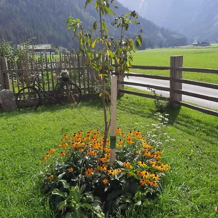 Althaus 1 By Interhome * Neukirchen am Großvenediger