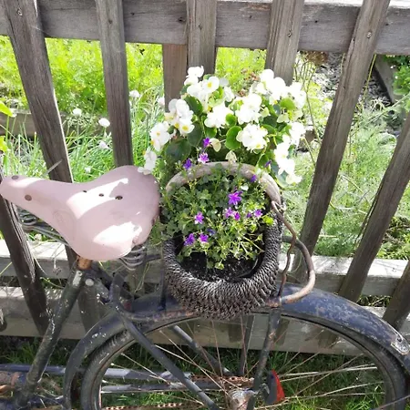 Althaus 1 By Interhome *